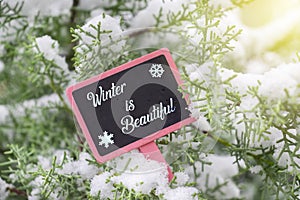 Winter is beautiful text on pine tree