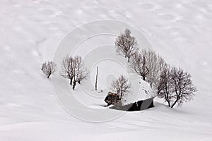 Winter beauty with small cottage and snow