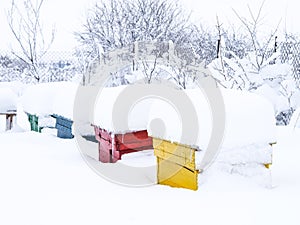 Winter bee hives covered by snow