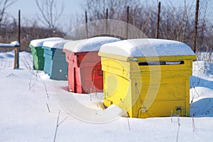 Winter bee hives photo