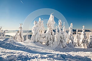 Winter bellow Lysa hora holl summit in Moravskoslezske Beskydy mountains photo