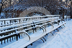 Winter Benches in snow