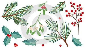Winter berries and leaves. Christmas floral collection. Botanical print set.