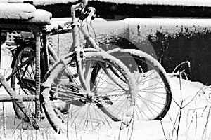 Winter bikes