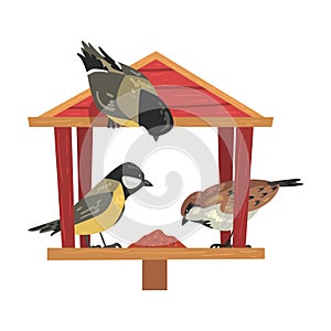 Winter Bird Feeder with Titmouses and Sparrows, Northern Birds Feeding by Seeds in Wooden Feeder Vector Illustration