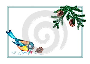Winter bird titmouse, snowy forest, green fluffy fir branches with brown cones. Rectangular holiday frame. Hand drawn watercolor i