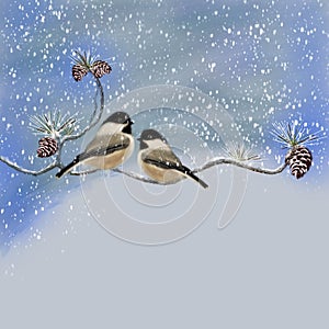 Winter Birds, Black Capped Chickadee, Illustration