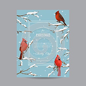 Winter Birds Christmas Card