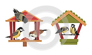 Winter Birds Feeding by Seeds and Grains Poured on Birdfeeder or Bird Table Vector Set