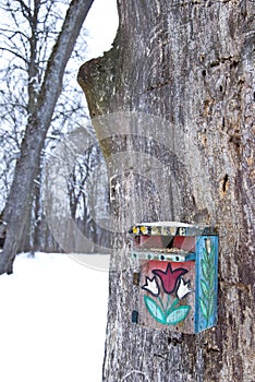 Winter birdseed on the painted nesting-box