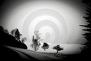 Winter black and white abstract landscape in upstate NY