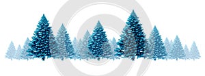 Winter Blue Pine Background