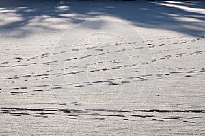 Footprints on snow