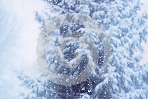 Winter blurre background. Snow. Wintertime oberlay.