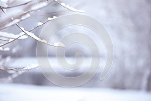 Winter blurred  background, with space for text. Tree branches covered with snow against the background of a blurry lake