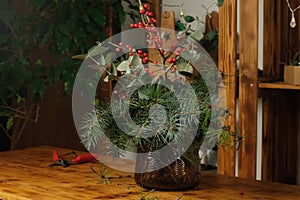 Winter bouquet in vase for home interior decoration. Christmas flower arrangement