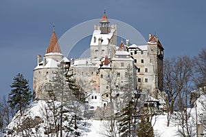 Winter at Bran Castle photo