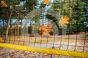 Winter break in beach volleyball depicted with autumn leaves in the volleyball net