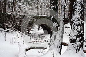 Winter Bridge