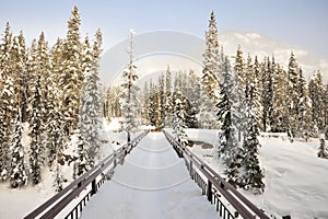 Winter bridge in snow field