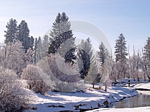 A Winter Brook photo