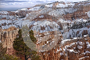 Winter in Bryce Canyon National Park photo