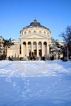 Winter in Bucharest - the Athenaeum photo