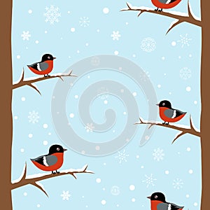 Winter bullfinch bird seamless pattern photo