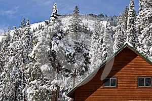 Winter Cabin with Snow Covered Roof