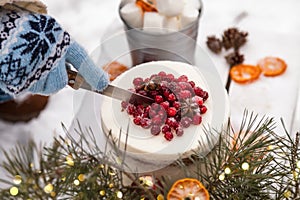 Winter cake decorated with berries