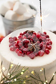 Winter cake decorated with berries