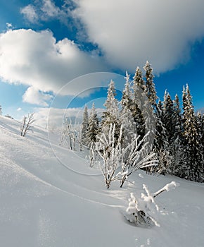 Winter calm mountain landscape with beautiful frosting trees and snowdrifts on slope Carpathian Mountains, Ukraine. Composite