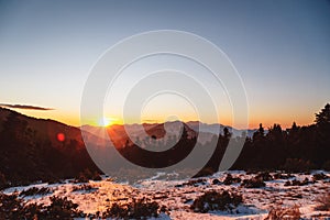 Winter calm mountain landscape at sunset. Splendid snow-covered mountains view with beautiful fir trees on slope.