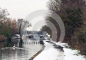 Winter by the canal