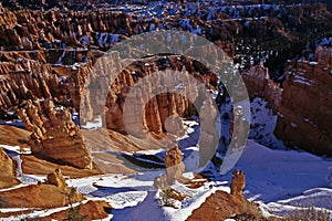 Winter in the Canyon