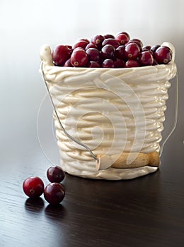 Winter card - Cranberries in bucked shaped vase