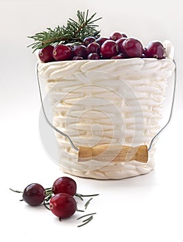 Winter card - Cranberries in bucked shaped vase with Christmas tree twig