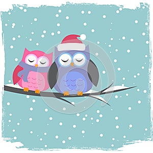 Winter card with cute owls