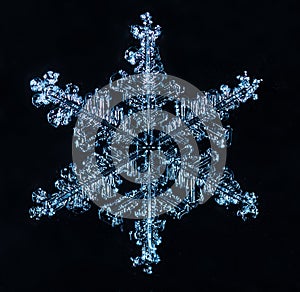 Winter card, photo real snowflakes