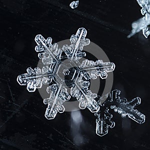 Winter card, photo real snowflakes