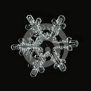 Winter card, photo real snowflakes