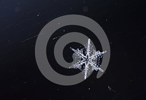 Winter card, photo real snowflakes