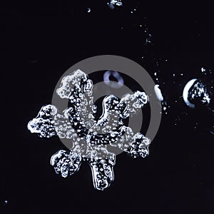 Winter card, photo real snowflakes