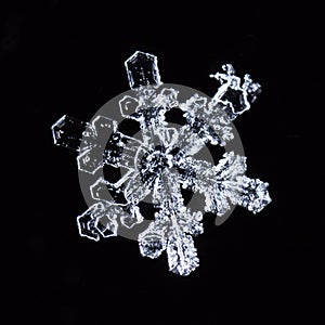 Winter card, photo real snowflakes