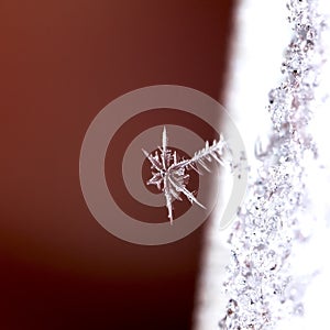 Winter card, photo real snowflakes