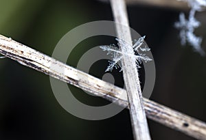 Winter card, photo real snowflakes