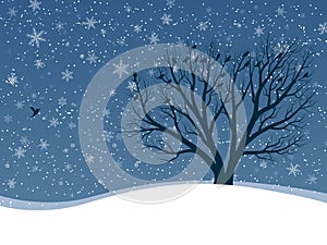 Winter card of snowfall with trees.