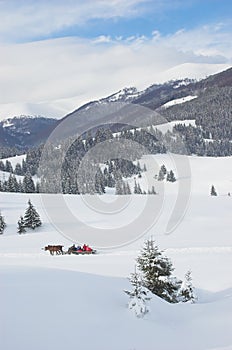 Winter Carpathian Mountains