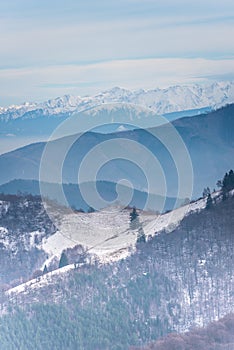 Winter in Carpathian Mountains, paltinis , Romania