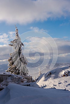 Winter in Carpathian Mountains, paltinis , Romania